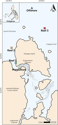 Sea surface carbonate dynamics at reefs of Bolinao, Philippines: Seasonal variation and fish mariculture-induced forcing